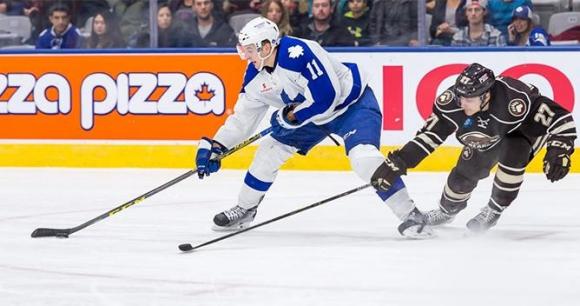 Hershey Bears vs. Toronto Marlies at Giant Center