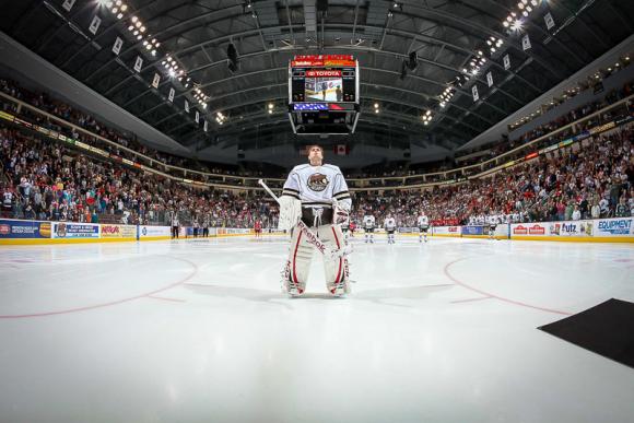 Hershey Bears vs. Rochester Americans at Giant Center