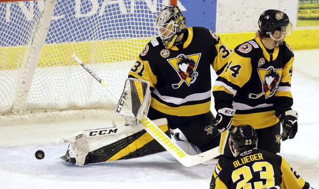 Hershey Bears vs. Wilkes-Barre Scranton Penguins at Giant Center