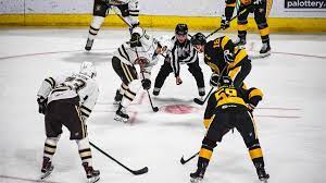 Hershey Bears vs. Wilkes-Barre Scranton Penguins at Giant Center